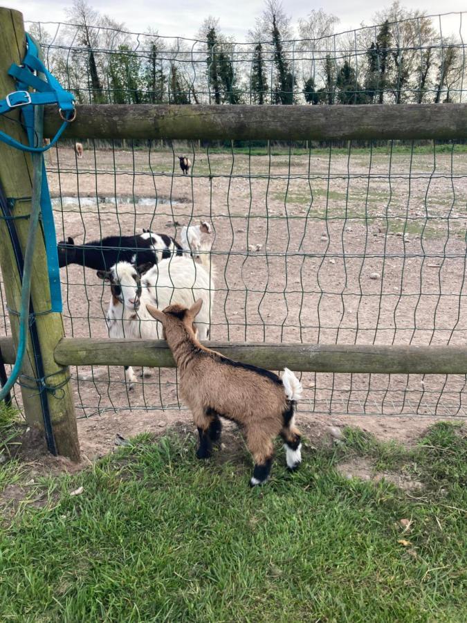 Chambres Dhotes A La Ferme Forest-Montiers Eksteriør billede