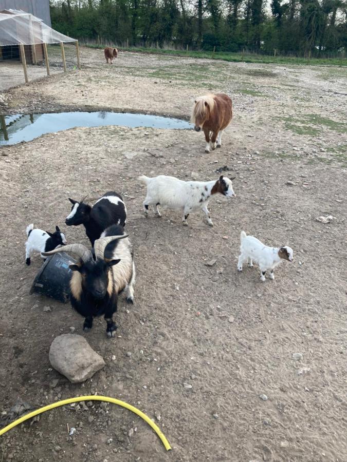 Chambres Dhotes A La Ferme Forest-Montiers Eksteriør billede
